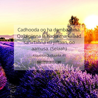 Picture 07 - Sabuurradii 4:4 SOM - Cadhooda oo ha dembaabina, Qalbigiinna la hadla - Bible Verse Picture