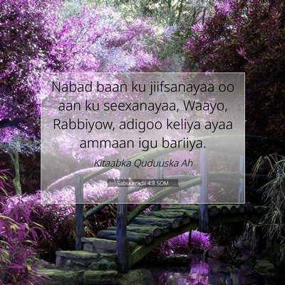 Picture 07 - Sabuurradii 4:8 SOM - Nabad baan ku jiifsanayaa oo aan ku seexanayaa, - Bible Verse Picture