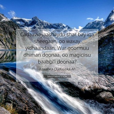 Picture 07 - Sabuurradii 41:5 SOM - Cadaawayaashaydu shar bay iga sheegaan, oo waxay - Bible Verse Picture