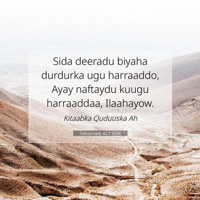 Picture 07 - Sabuurradii 42:1 SOM - Sida deeradu biyaha durdurka ugu harraaddo, Ayay - Bible Verse Picture