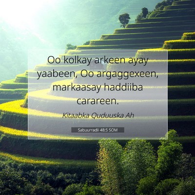 Picture 07 - Sabuurradii 48:5 SOM - Oo kolkay arkeen ayay yaabeen, Oo argaggexeen, - Bible Verse Picture
