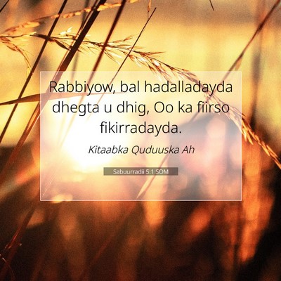 Picture 07 - Sabuurradii 5:1 SOM - Rabbiyow, bal hadalladayda dhegta u dhig, Oo ka - Bible Verse Picture