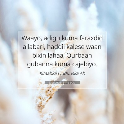 Picture 07 - Sabuurradii 51:16 SOM - Waayo, adigu kuma faraxdid allabari, haddii - Bible Verse Picture