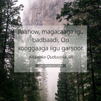 Picture 07 - Sabuurradii 54:1 SOM - Ilaahow, magacaaga igu badbaadi, Oo xooggaaga - Bible Verse Picture