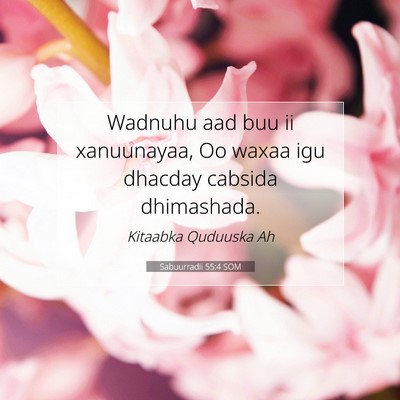 Picture 07 - Sabuurradii 55:4 SOM - Wadnuhu aad buu ii xanuunayaa, Oo waxaa igu - Bible Verse Picture