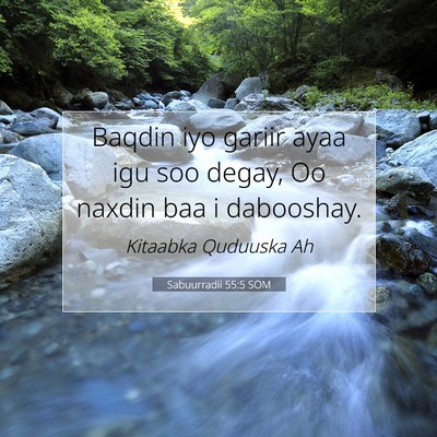 Picture 07 - Sabuurradii 55:5 SOM - Baqdin iyo gariir ayaa igu soo degay, Oo naxdin - Bible Verse Picture