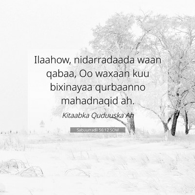 Picture 07 - Sabuurradii 56:12 SOM - Ilaahow, nidarradaada waan qabaa, Oo waxaan kuu - Bible Verse Picture