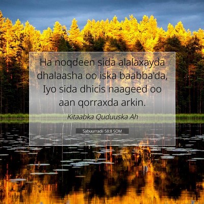 Picture 07 - Sabuurradii 58:8 SOM - Ha noqdeen sida alalaxayda dhalaasha oo iska - Bible Verse Picture