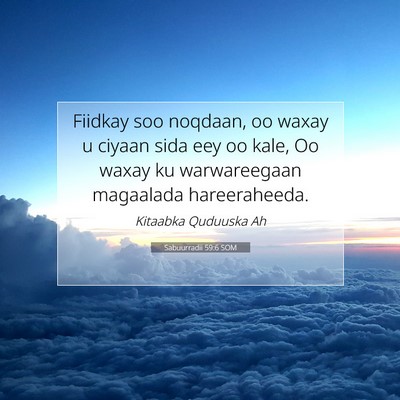 Picture 07 - Sabuurradii 59:6 SOM - Fiidkay soo noqdaan, oo waxay u ciyaan sida eey - Bible Verse Picture