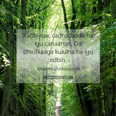 Picture 07 - Sabuurradii 6:1 SOM - Rabbiyow, cadhadaada ha igu canaanan, Oo - Bible Verse Picture