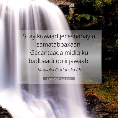 Picture 07 - Sabuurradii 60:5 SOM - Si ay kuwaad jeceshahay u samatabbaxaan, - Bible Verse Picture