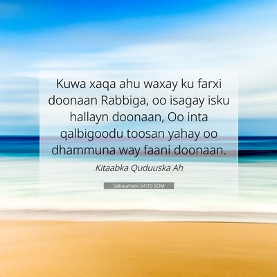 Picture 07 - Sabuurradii 64:10 SOM - Kuwa xaqa ahu waxay ku farxi doonaan Rabbiga, oo - Bible Verse Picture
