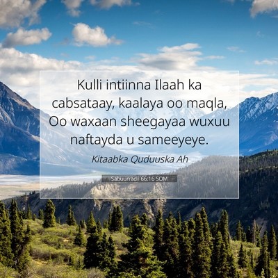 Picture 07 - Sabuurradii 66:16 SOM - Kulli intiinna Ilaah ka cabsataay, kaalaya oo - Bible Verse Picture