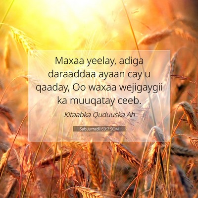 Picture 07 - Sabuurradii 69:7 SOM - Maxaa yeelay, adiga daraaddaa ayaan cay u qaaday, - Bible Verse Picture