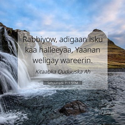 Picture 07 - Sabuurradii 71:1 SOM - Rabbiyow, adigaan isku kaa halleeyaa, Yaanan - Bible Verse Picture