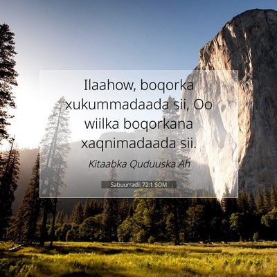 Picture 07 - Sabuurradii 72:1 SOM - Ilaahow, boqorka xukummadaada sii, Oo wiilka - Bible Verse Picture