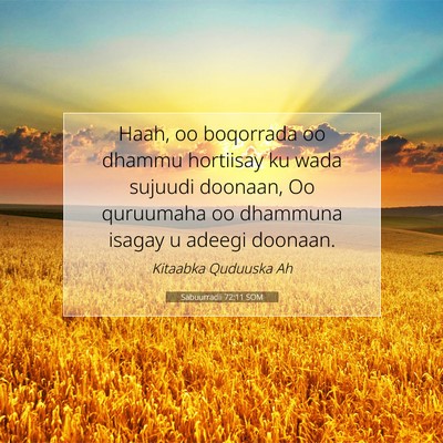 Picture 07 - Sabuurradii 72:11 SOM - Haah, oo boqorrada oo dhammu hortiisay ku wada - Bible Verse Picture
