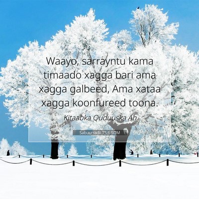 Picture 07 - Sabuurradii 75:6 SOM - Waayo, sarrayntu kama timaado xagga bari ama - Bible Verse Picture