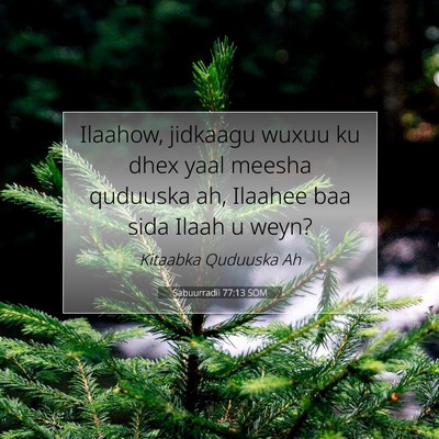 Picture 07 - Sabuurradii 77:13 SOM - Ilaahow, jidkaagu wuxuu ku dhex yaal meesha - Bible Verse Picture