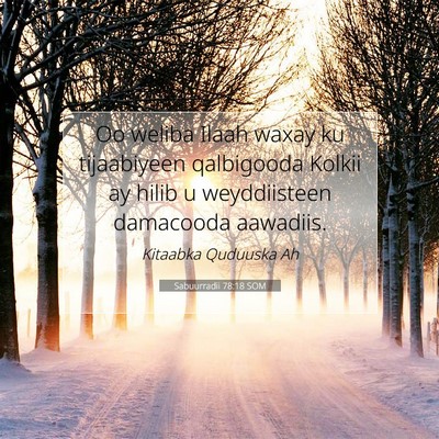 Picture 07 - Sabuurradii 78:18 SOM - Oo weliba Ilaah waxay ku tijaabiyeen qalbigooda - Bible Verse Picture