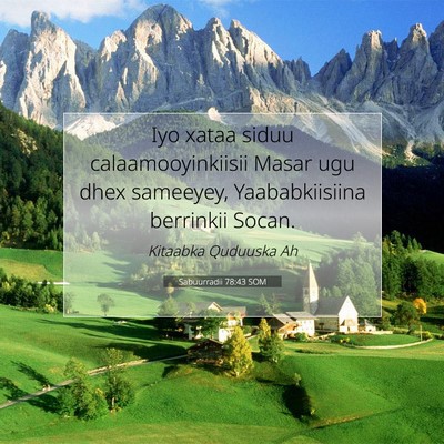 Picture 07 - Sabuurradii 78:43 SOM - Iyo xataa siduu calaamooyinkiisii Masar ugu dhex - Bible Verse Picture