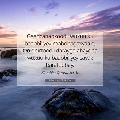 Picture 07 - Sabuurradii 78:47 SOM - Geedcanabkoodii wuxuu ku baabbi'iyey - Bible Verse Picture