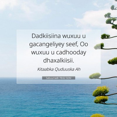 Picture 07 - Sabuurradii 78:62 SOM - Dadkiisiina wuxuu u gacangeliyey seef, Oo wuxuu u - Bible Verse Picture