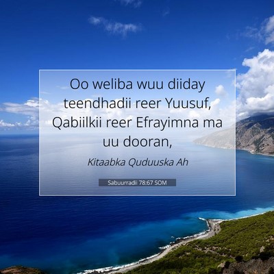 Picture 07 - Sabuurradii 78:67 SOM - Oo weliba wuu diiday teendhadii reer Yuusuf, - Bible Verse Picture