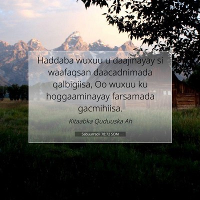 Picture 07 - Sabuurradii 78:72 SOM - Haddaba wuxuu u daajinayay si waafaqsan - Bible Verse Picture
