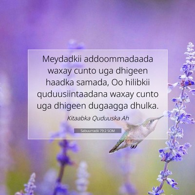 Picture 07 - Sabuurradii 79:2 SOM - Meydadkii addoommadaada waxay cunto uga dhigeen - Bible Verse Picture