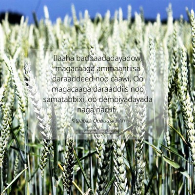 Picture 07 - Sabuurradii 79:9 SOM - Ilaaha badbaadadayadow, magacaaga ammaantiisa - Bible Verse Picture