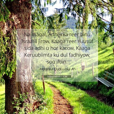 Picture 07 - Sabuurradii 80:1 SOM - Na maqal, Adhijirka reer binu Israa'iil jirow, - Bible Verse Picture
