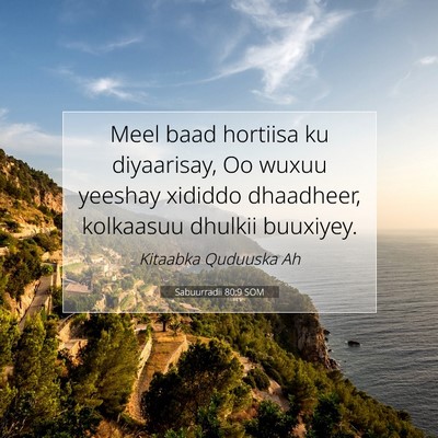 Picture 07 - Sabuurradii 80:9 SOM - Meel baad hortiisa ku diyaarisay, Oo wuxuu - Bible Verse Picture
