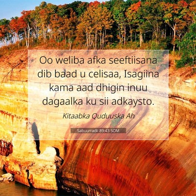 Picture 07 - Sabuurradii 89:43 SOM - Oo weliba afka seeftiisana dib baad u celisaa, - Bible Verse Picture