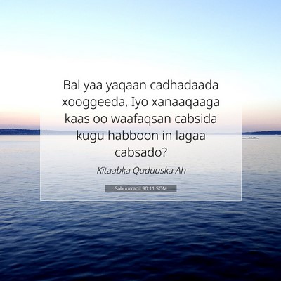 Picture 07 - Sabuurradii 90:11 SOM - Bal yaa yaqaan cadhadaada xooggeeda, Iyo - Bible Verse Picture