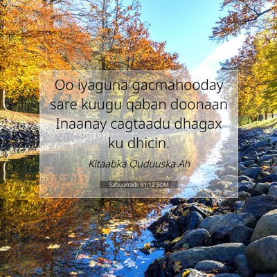 Picture 07 - Sabuurradii 91:12 SOM - Oo iyaguna gacmahooday sare kuugu qaban doonaan - Bible Verse Picture