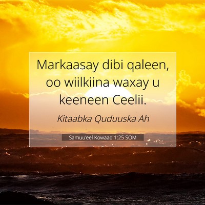 Picture 07 - Samuu'eel Kowaad 1:25 SOM - Markaasay dibi qaleen, oo wiilkiina waxay u - Bible Verse Picture