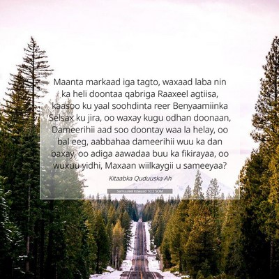 Picture 07 - Samuu'eel Kowaad 10:2 SOM - Maanta markaad iga tagto, waxaad laba nin ka heli - Bible Verse Picture