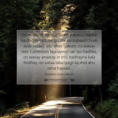 Picture 07 - Samuu'eel Kowaad 11:11 SOM - Oo maalintii dambe Saa'uul wuxuu dadkii ka dhigay - Bible Verse Picture