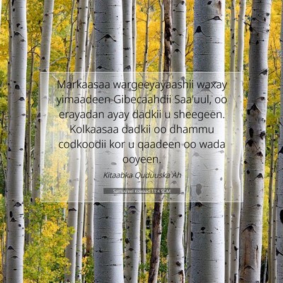 Picture 07 - Samuu'eel Kowaad 11:4 SOM - Markaasaa wargeeyayaashii waxay yimaadeen - Bible Verse Picture