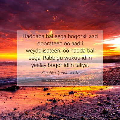 Picture 07 - Samuu'eel Kowaad 12:13 SOM - Haddaba bal eega boqorkii aad doorateen oo aad i - Bible Verse Picture
