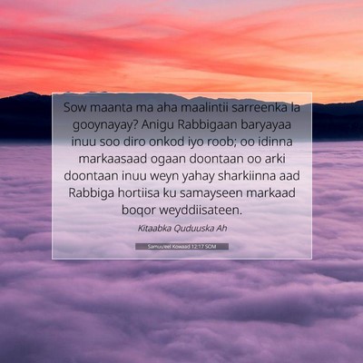 Picture 07 - Samuu'eel Kowaad 12:17 SOM - Sow maanta ma aha maalintii sarreenka la - Bible Verse Picture