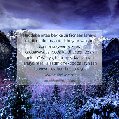Picture 07 - Samuu'eel Kowaad 14:30 SOM - Haddaba intee bay ka sii fiicnaan lahayd haddii - Bible Verse Picture