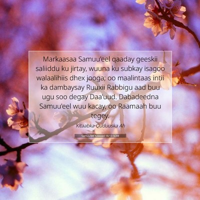 Picture 07 - Samuu'eel Kowaad 16:13 SOM - Markaasaa Samuu'eel qaaday geeskii saliiddu ku - Bible Verse Picture