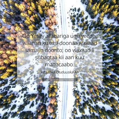 Picture 07 - Samuu'eel Kowaad 16:3 SOM - Oo Yesay allabariga ugu yeedh, waanan ku tusi - Bible Verse Picture