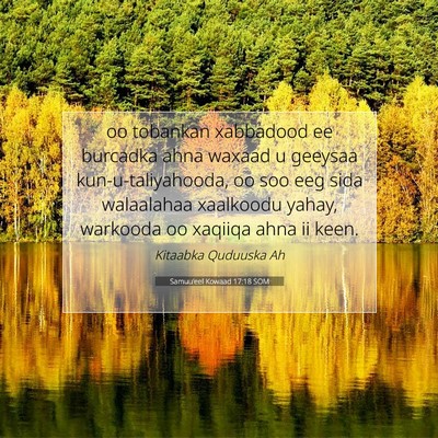 Picture 07 - Samuu'eel Kowaad 17:18 SOM - oo tobankan xabbadood ee burcadka ahna waxaad u - Bible Verse Picture