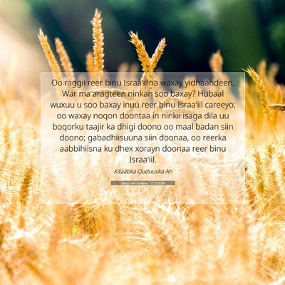 Picture 07 - Samuu'eel Kowaad 17:25 SOM - Oo raggii reer binu Israa'iilna waxay - Bible Verse Picture