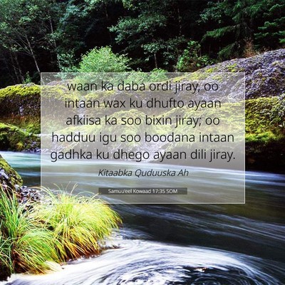 Picture 07 - Samuu'eel Kowaad 17:35 SOM - waan ka daba ordi jiray, oo intaan wax ku dhufto - Bible Verse Picture