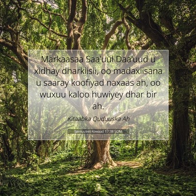 Picture 07 - Samuu'eel Kowaad 17:38 SOM - Markaasaa Saa'uul Daa'uud u xidhay dharkiisii, oo - Bible Verse Picture
