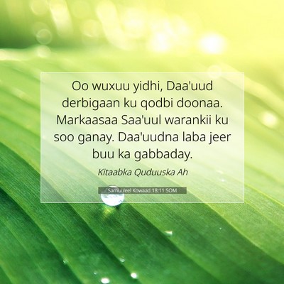 Picture 07 - Samuu'eel Kowaad 18:11 SOM - Oo wuxuu yidhi, Daa'uud derbigaan ku qodbi - Bible Verse Picture